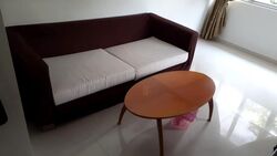 Lorong L Telok Kurau (D15), Semi-Detached #619559851